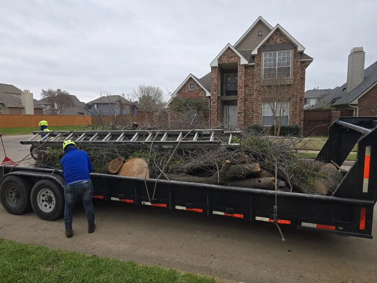 Expert Tree Removal with proper safety equipment in Sunbury